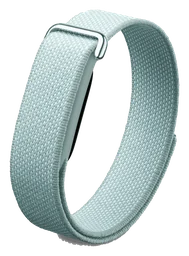 Google Fitbit Fog